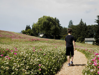Rear view of boy walking on footpath amidst plants against sky at park during sunny day - CAVF61411