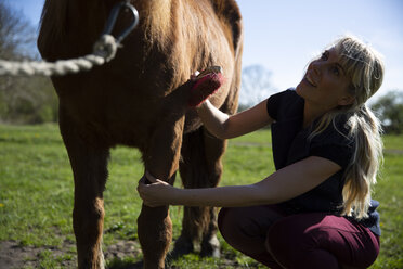 Lächelnde Frau, die ihr Pferd bürstet, während sie an einem sonnigen Tag auf einer Wiese hockt - CAVF61419