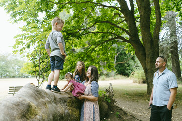 Glückliche Familie genießt gegen Bäume im Wald - CAVF61434