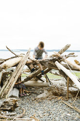 Playful siblings sitting on logs at beach against clear sky - CAVF61440