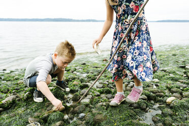 Low section of sister holding stick while brother searching seashells at beach against clear sky - CAVF61444