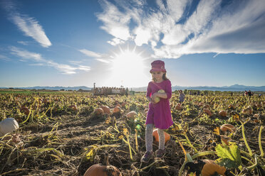 Mädchen hält Gemüse in voller Länge, während sie in einem Kürbisbeet gegen den Himmel an einem sonnigen Tag steht - CAVF61565