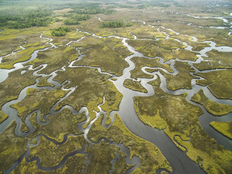 Landschaftlicher Blick auf den Sumpf im Chassahowitzka Wildlife Refuge - CAVF61605