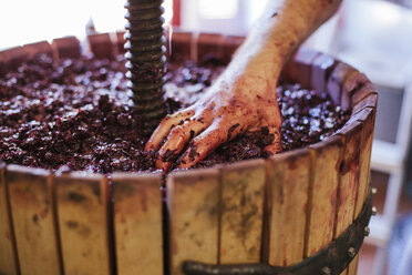 Abgeschnittene Hand eines männlichen Winzers, der in einer Fabrik Wein in Fässern herstellt - CAVF61687