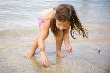 Full length of girl collecting seashells on shore at beach - CAVF61729