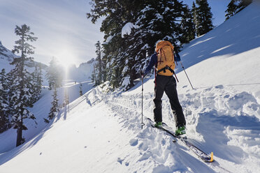 Cross-country skier moving along sunny snow covered track on sunny, idyllic mountainside - CAIF22894