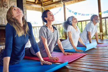 Serene group practicing upward facing dog pose in hut during yoga retreat - CAIF22947