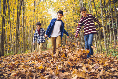 Brothers playing with dry leaves on footpath in forest during autumn - CAVF61749