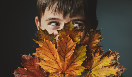 Nahaufnahme eines Jungen, der wegschaut, während er sein Gesicht mit Herbstblättern vor einem farbigen Hintergrund bedeckt - CAVF61752