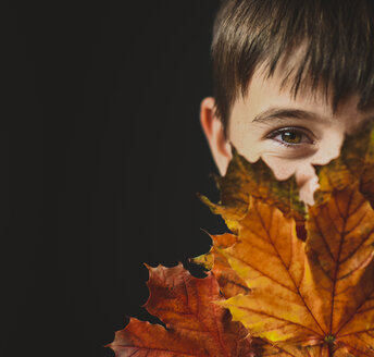 Nahaufnahme eines Jungen, der sein Gesicht mit Herbstblättern bedeckt, vor schwarzem Hintergrund - CAVF61753