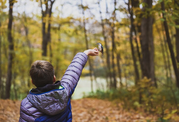 Rear view of boy feeding white breasted nuthatch in forest during autumn - CAVF61756