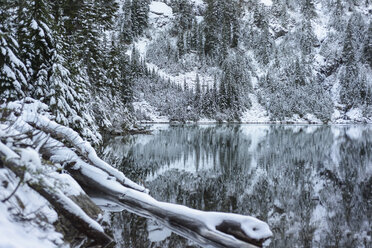 Landschaftlicher Blick auf einen ruhigen See inmitten schneebedeckter Bäume im Wald - CAVF61778