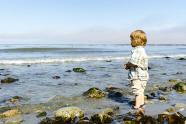 Seitenansicht eines kleinen Jungen im Meer stehend gegen den Himmel an einem sonnigen Tag - CAVF61831