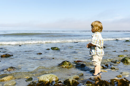 Seitenansicht eines kleinen Jungen im Meer stehend gegen den Himmel an einem sonnigen Tag - CAVF61831