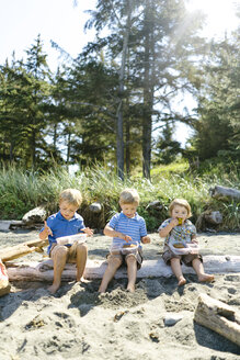 Brüder essen Essen, während sie auf einem Baumstamm am Strand sitzen, während eines sonnigen Tages - CAVF61838