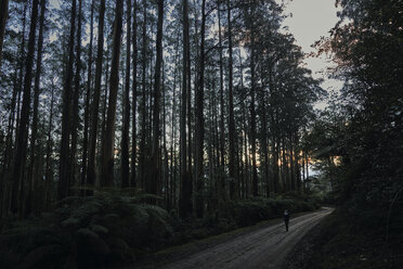 Wanderer auf unbefestigtem Weg im Wald stehend - CAVF61859