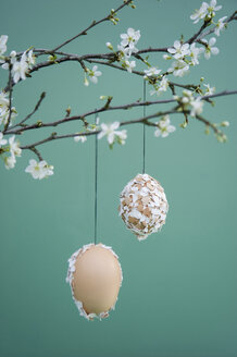 Easter decoration, Easter egg with eggshells hanging on twig - GISF00396