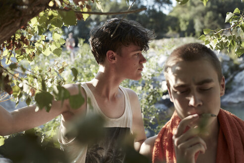 France, two teenage boys smoking cigarette in nature - AMEF00002