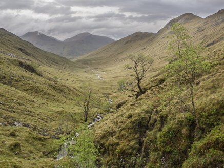 Großbritannien, Schottland, Nordwestliche Highlands bei Glenfinnan - HUSF00022