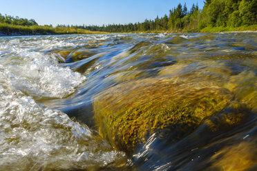 Deutschland, Bayern, Naturschutzgebiet Isarauen, strömendes klares Wasser der Isar - SIEF08421