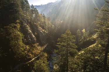 Österreich, Niederösterreich, Oetschergraeben in der Morgensonne - HMEF00262