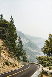 Empty country road in by trees on mountain at Yosemite National Park during foggy weather - CAVF61998