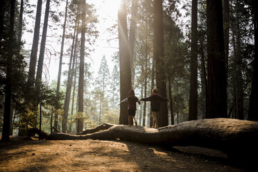 Rückansicht von Brüdern mit ausgestreckten Armen, die auf einem Baumstamm im Yosemite National Park gehen - CAVF61999