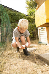 Junge sammelt Eier im Hühnerstall im Garten - MFRF01238