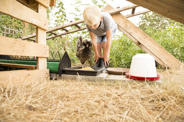 Junge füttert Hühner im Hühnerstall im Garten - MFRF01250