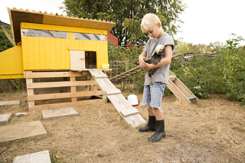 Junge hält polnisches Huhn im Hühnerstall im Garten, lizenzfreies Stockfoto