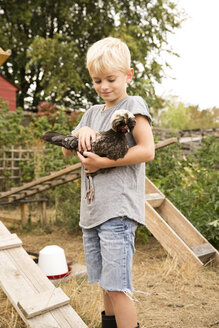 Junge hält polnisches Huhn im Hühnerstall im Garten - MFRF01261