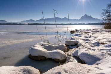 Deutschland, Bayern, Allgäuer Alpen, Hopfensee im Winter - STSF01873