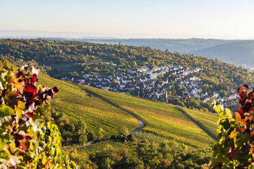 Deutschland, Baden-Württemberg, Stuttgart, Blick über Reben nach Uhlbach - WDF05181