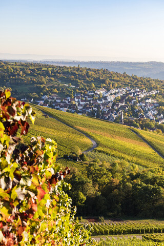 Deutschland, Baden-Württemberg, Stuttgart, Blick über Reben nach Uhlbach, lizenzfreies Stockfoto