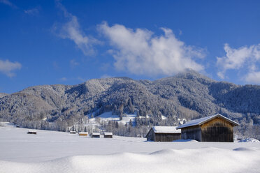 Deutschland, Bayern, Oberbayern, Isartal, Lenggries, Berg Geierstein im Winter - LBF02403