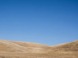 Landschaft gegen den klaren blauen Himmel an einem sonnigen Tag im Olympic National Park - CAVF62094