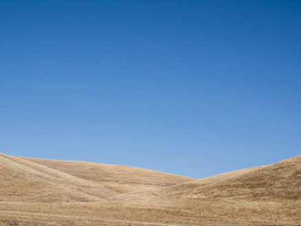 Landschaft gegen den klaren blauen Himmel an einem sonnigen Tag im Olympic National Park - CAVF62094