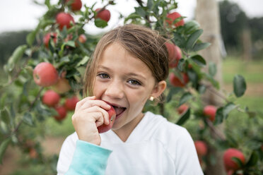 Porträt eines niedlichen Mädchens, das in einen Apfel beißt, während es an einem Obstbaum steht - CAVF62143