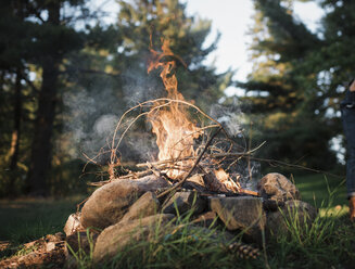 Nahaufnahme eines Lagerfeuers gegen Bäume im Wald - CAVF62300