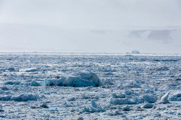 Meereis und neblige Küstenlandschaft, Wahlenberg Fjord, Nordaustlandet, Svalbard, Norwegen. - CUF49330