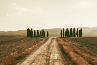 Dirt road through countryside, Tuscany, Italy - CUF49374