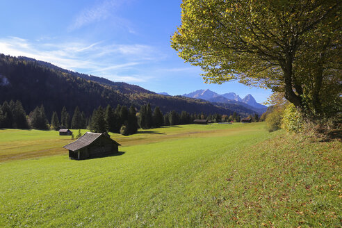 Deutschland, Bayern, Allgaeu, autmn - DLF00045