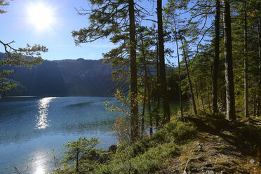 Germany, Bavaria, Eibsee Lake , forest - DLF00049