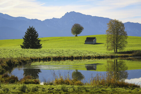 Deutschland, Bayern, Füssen, Alpenvorland - DLF00055