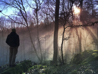 Germany, Rhineland Palatinate, Palatinate Forest, man, hiker watching beam of sunlight in foggy fores - GWF05928