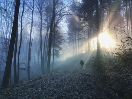 Deutschland, Rheinland-Pfalz, Pfälzerwald, Mann spazierend und entspannend im nebligen Wald mit Sonnenstrahlen - GWF05933