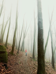 Deutschland, Rheinland-Pfalz, Pfälzerwald, Frau entspannt und wandert im nebligen Wald - GWF05939