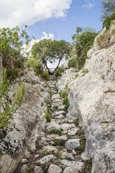 Sizilien, Provinz Syrakus, Noto Antica, Cava del Carosello, Wanderweg - MAMF00452