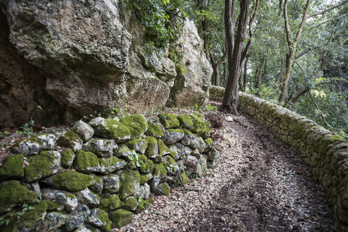 Sizilien, Provinz Syrakus, Noto Antica, Cava del Carosello, leerer Wanderweg - MAMF00456