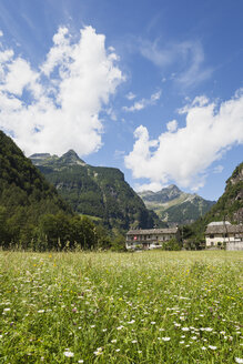 Schweiz, Tessin, Sonogno Dorf, Alpweide - GWF05977